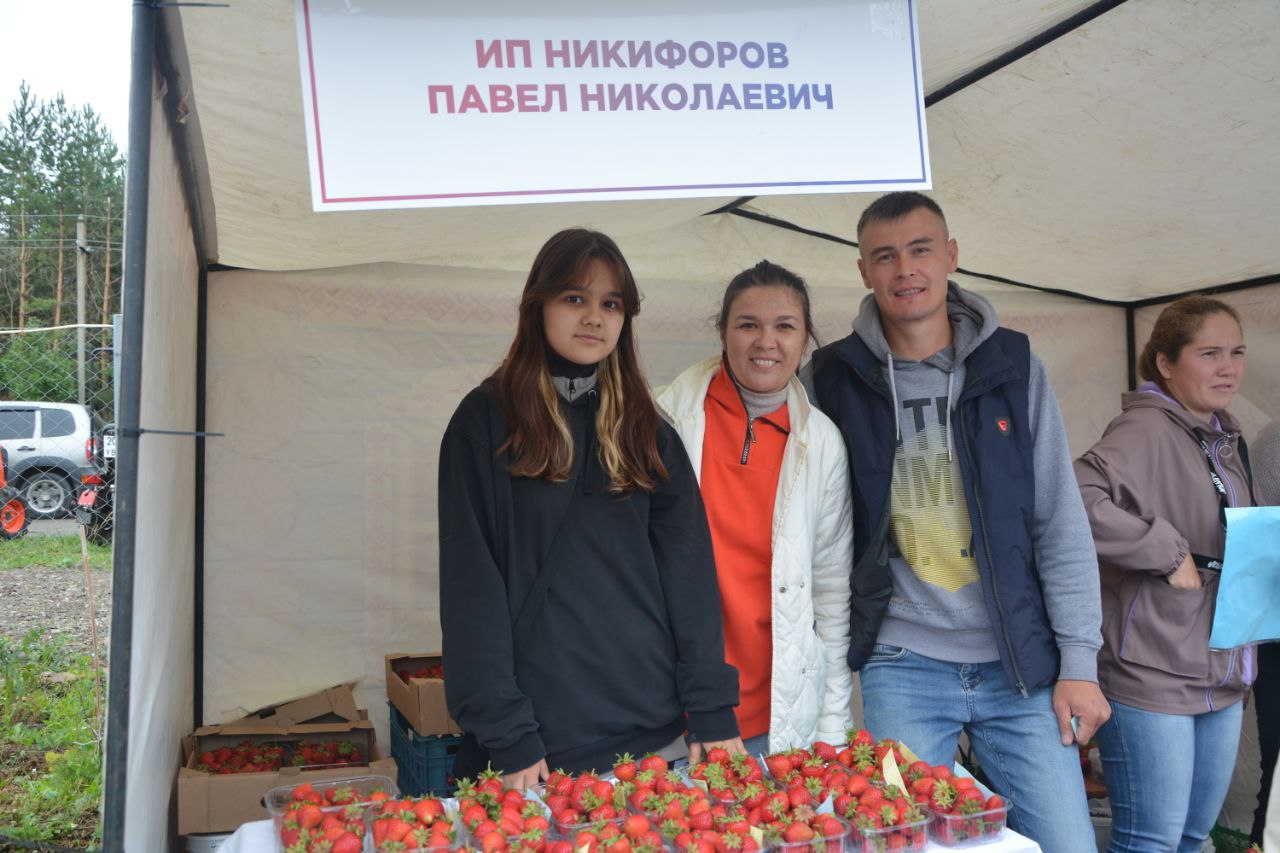 Здоровое село территория трезвости. Участие в Ярмарке. Трезвое село. Здоровое село.