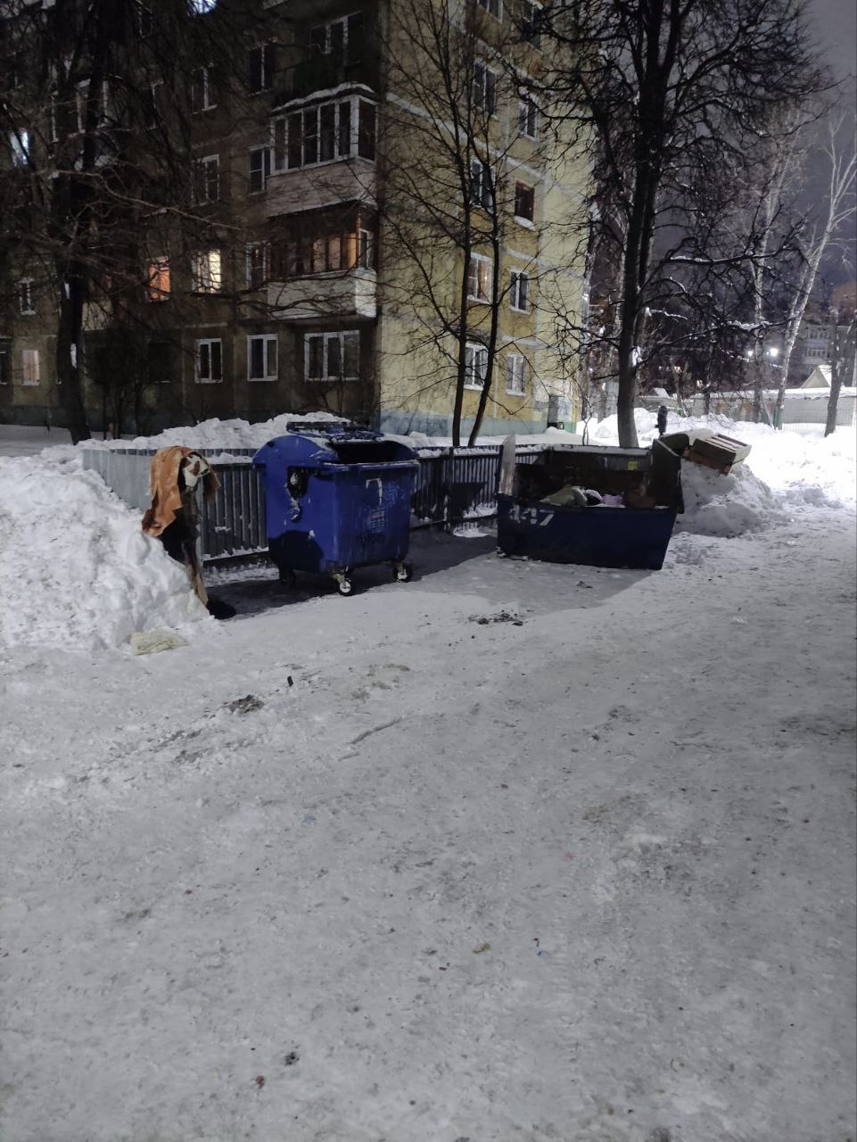 В соцсетях Чувашии увеличилось число жалоб на невывоз мусора | 08.02.2024 |  Чебоксары - БезФормата