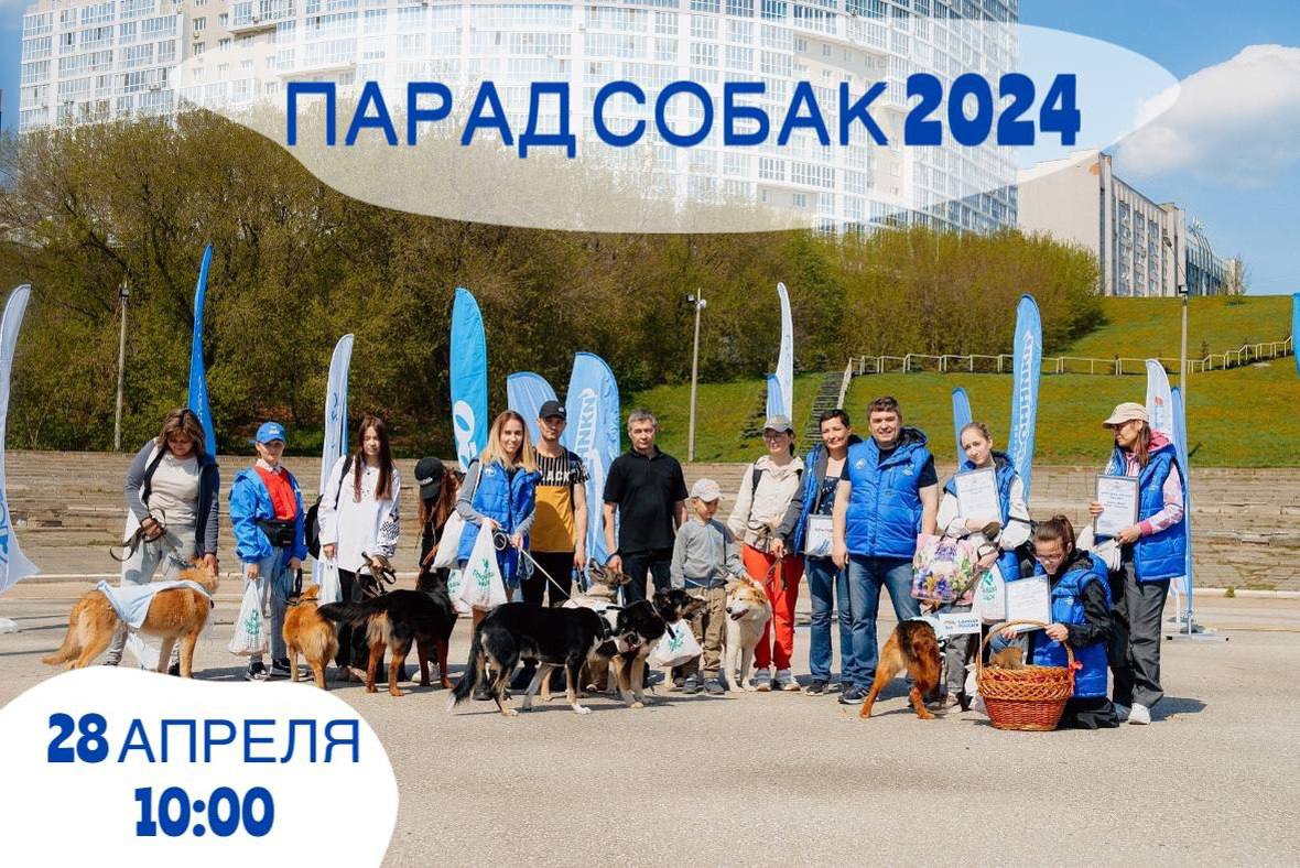 28 апреля в Чебоксарах пройдет «Парад собак – 2024» | Тăван Ен